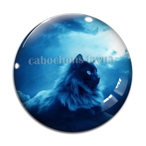 Cabochon chat, en résine ou en verre différente taille