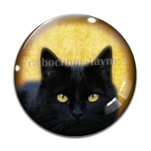 Cabochon chat, en résine ou en verre différente taille