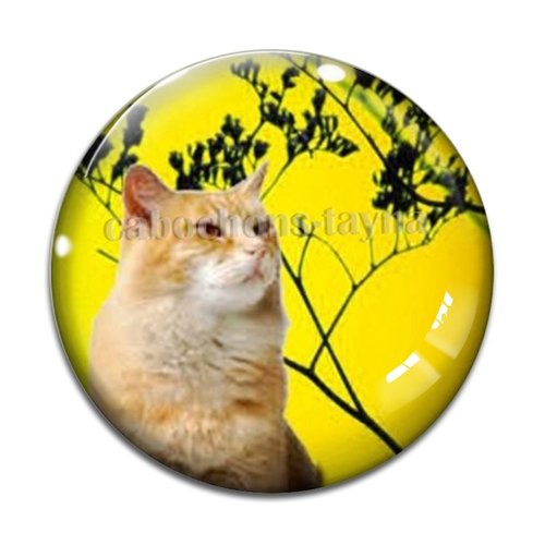 Cabochon chat, en résine ou en verre différente taille