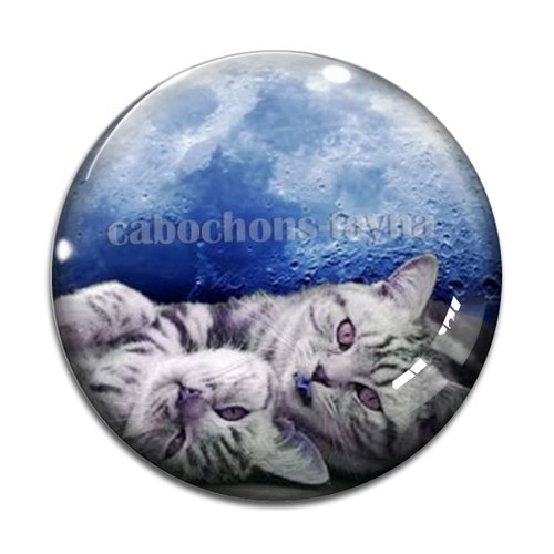 Cabochon chat, en résine ou en verre différente taille
