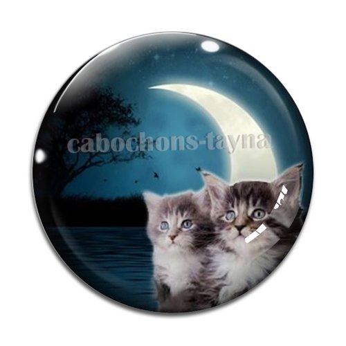 Cabochon chat, en résine ou en verre différente taille