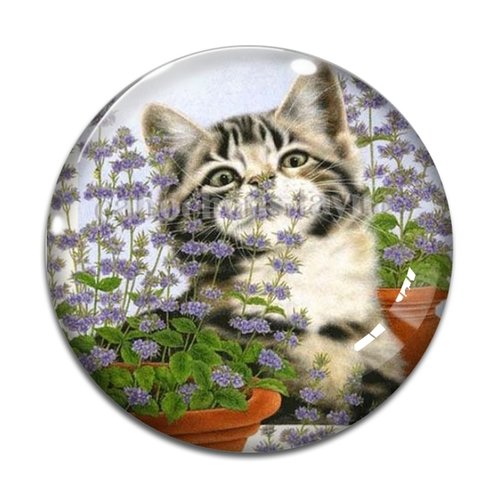 Cabochon chat, en résine ou en verre différente taille