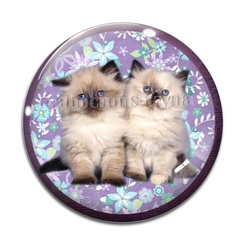 Cabochon chat, en résine ou en verre différente taille
