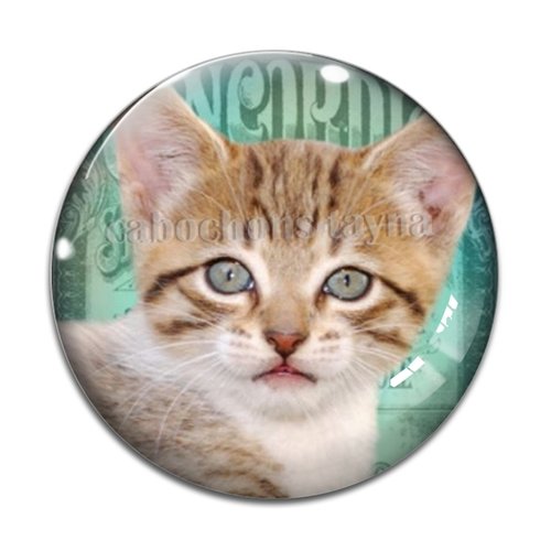 Cabochon chat, en résine ou en verre différente taille