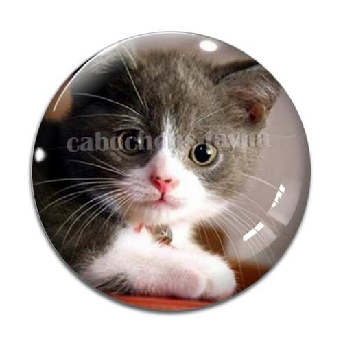 Cabochon chat, en résine ou en verre différente taille