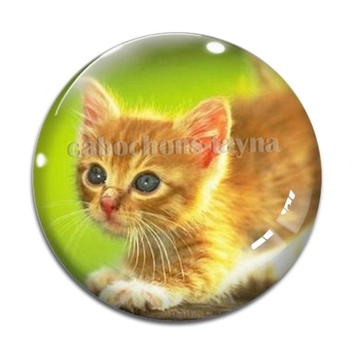 Cabochon chat, en résine ou en verre différente taille