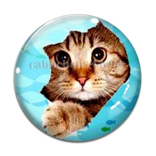 Cabochon chat, en résine ou en verre différente taille