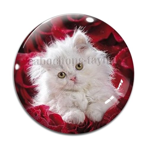 Cabochon chat, en résine ou en verre différente taille