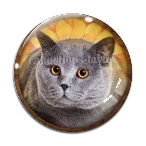 Cabochon chat, en résine ou en verre différente taille