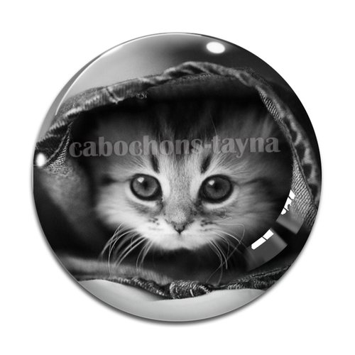 Cabochon chat, en résine ou en verre différente taille