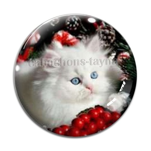 Cabochon chat, en résine ou en verre différente taille