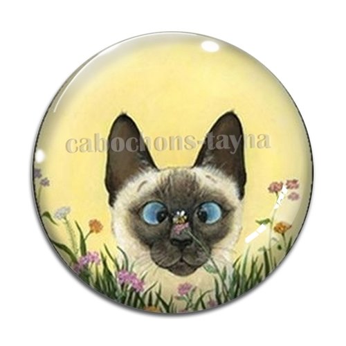 Cabochon chat, en résine ou en verre différente taille