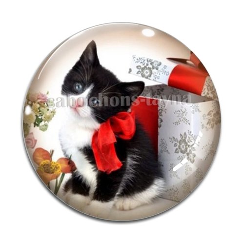 Cabochon chat, en résine ou en verre différente taille