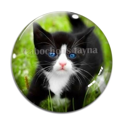 Cabochon chat, en résine ou en verre différente taille