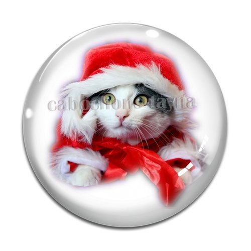 Cabochon chat, en résine ou en verre différente taille