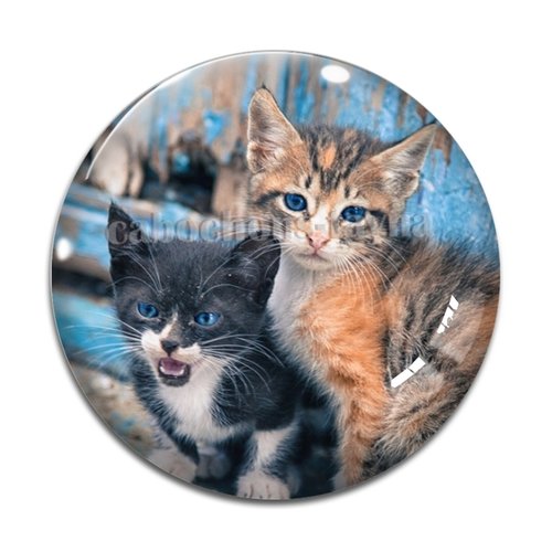 Cabochon chat, en résine ou en verre différente taille