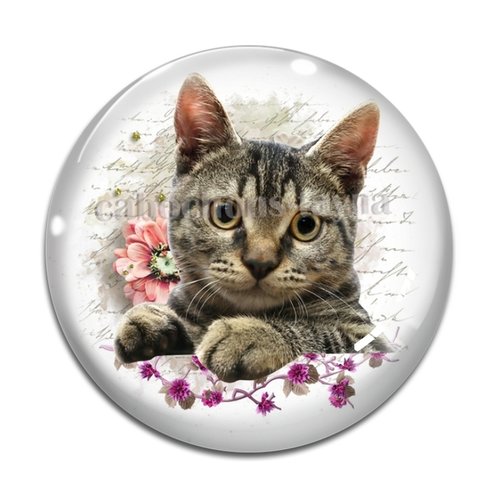 Cabochon chat, en résine ou en verre différente taille