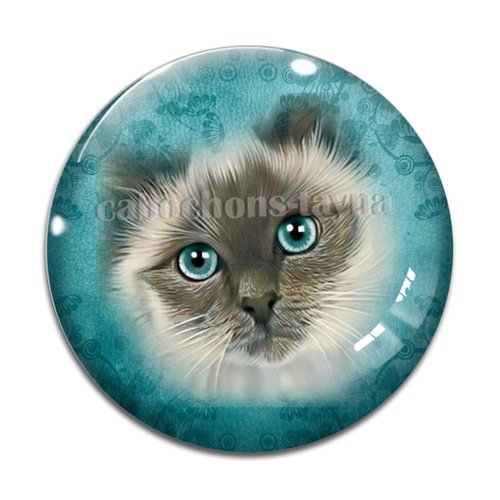 Cabochon chat, en résine ou en verre différente taille