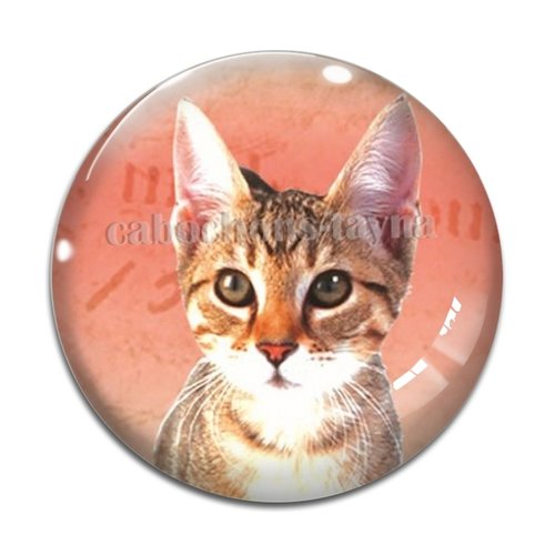 Cabochon chat, en résine ou en verre différente taille