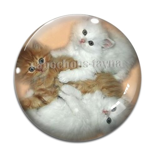 Cabochon chat, en résine ou en verre différente taille