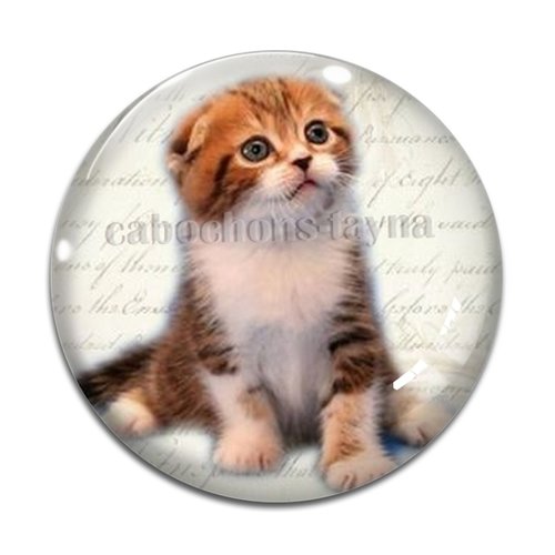 Cabochon chat, en résine ou en verre différente taille