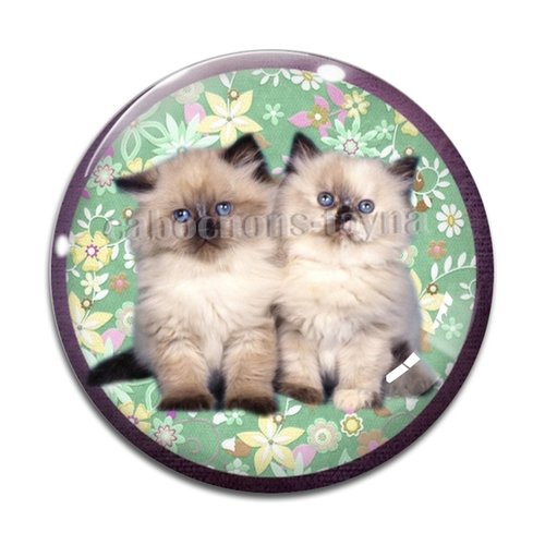 Cabochon chat, en résine ou en verre différente taille