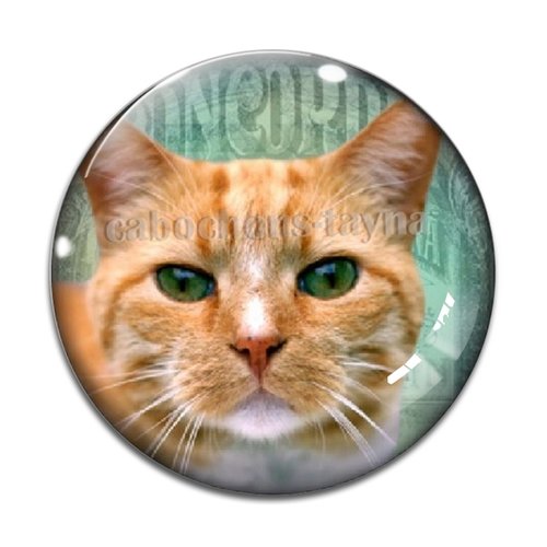 Cabochon chat, en résine ou en verre différente taille