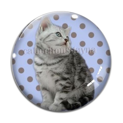 Cabochon chat, en résine ou en verre différente taille