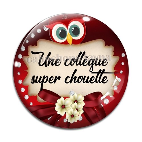 Cabochon chouette collègue, cabochon résine, verre rond différente taille