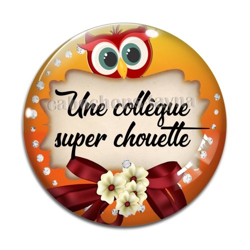 Cabochon chouette collègue, cabochon résine, verre rond différente taille