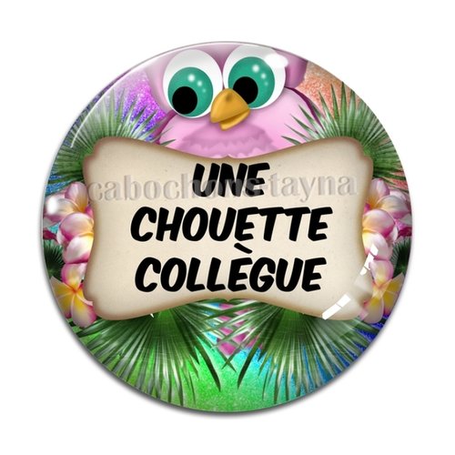 Cabochon chouette collègue, cabochon résine, verre rond différente taille