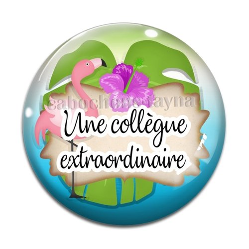 Cabochon une collègue extraordinaire, en résine ou en verre différente taille
