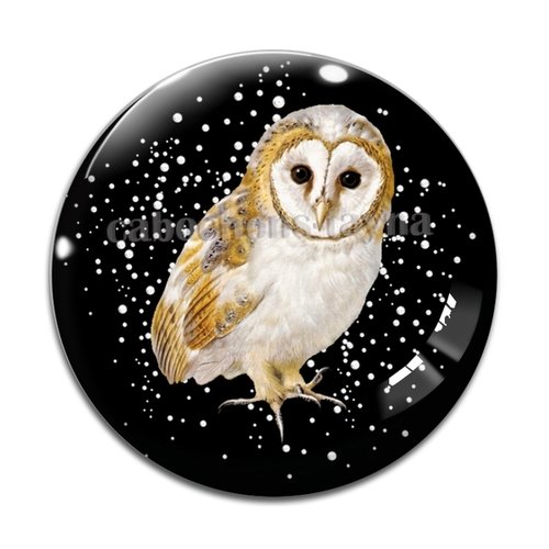 Cabochon chouette, en résine ou en verre différente taille