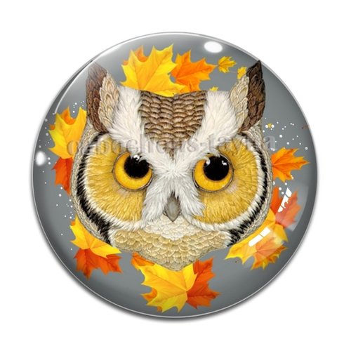 Cabochon chouette, en résine ou en verre différente taille