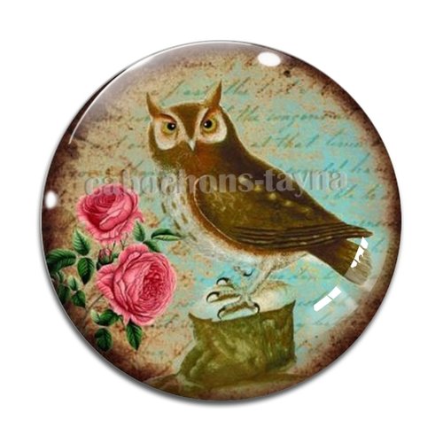Cabochon chouette, en résine ou en verre différente taille