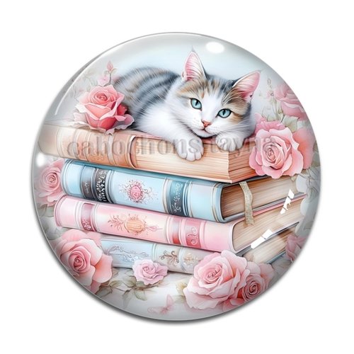 Cabochon chat livre, cabochon résine ou verre rond différente taille