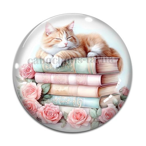 Cabochon chat livre, cabochon résine ou verre rond différente taille