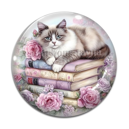 Cabochon chat livre, cabochon résine ou verre rond différente taille