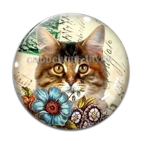 Cabochon chat, en résine ou en verre différente taille