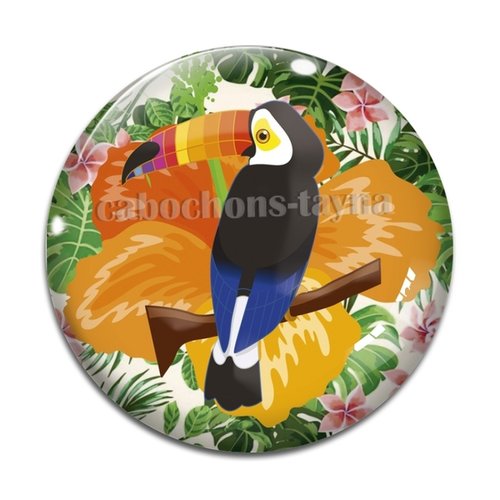 Cabochon oiseau toucan, résine ou verre différente taille
