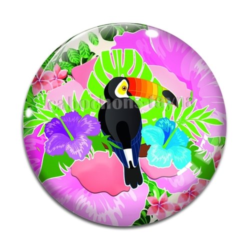 Cabochon oiseau toucan, résine ou verre différente taille