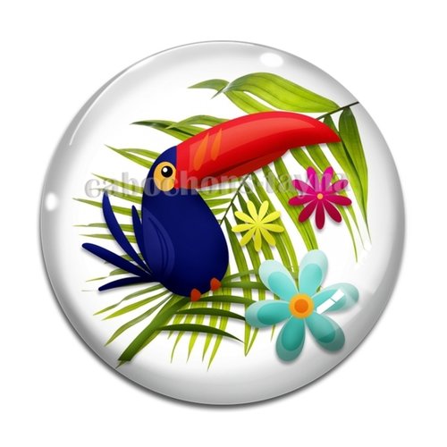Cabochon oiseau toucan, résine ou verre différente taille