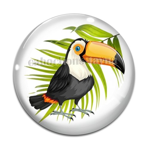 Cabochon oiseau toucan, résine ou verre différente taille