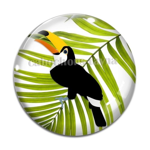 Cabochon oiseau toucan, résine ou verre différente taille
