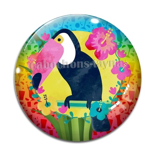 Cabochon oiseau toucan, résine ou verre différente taille