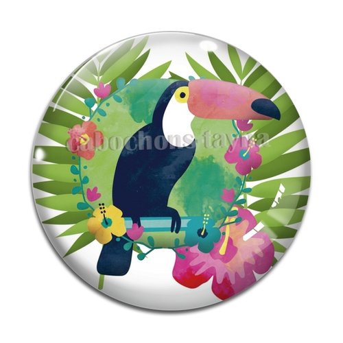 Cabochon oiseau toucan, résine ou verre différente taille