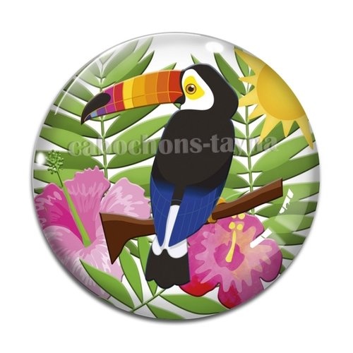 Cabochon oiseau toucan, résine ou verre différente taille