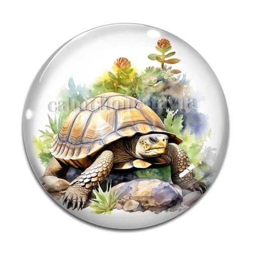 Cabochon tortue, en résine ou en verre différente taille