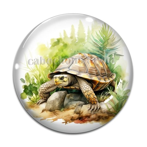 Cabochon tortue, en résine ou en verre différente taille