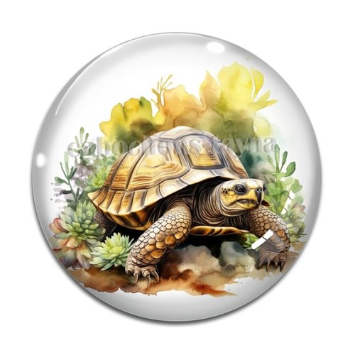 Cabochon tortue, en résine ou en verre différente taille